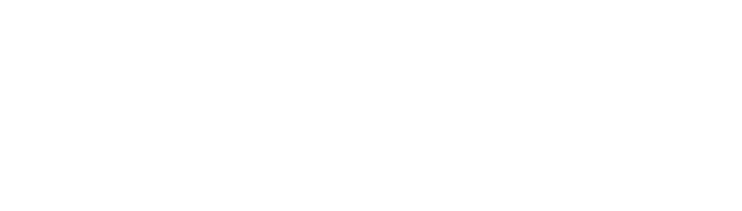 Moog